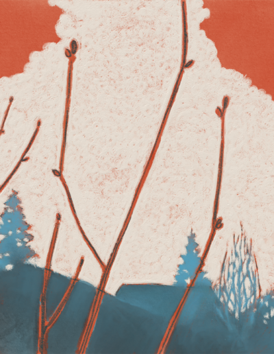 Sienna Apple Tree (1-13-2025)